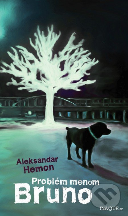 Problém menom Bruno - Aleksandar Hemon - kniha z kategorie Beletrie