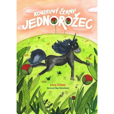 Kouzelný černý jednorožec