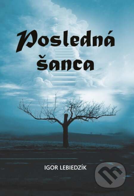 Posledná šanca - Igor Lebiedzík - kniha z kategorie Beletrie