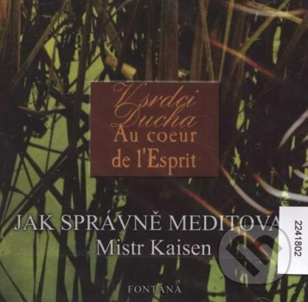 Jak správně meditovat - Kaisen Mistr - audiokniha z kategorie Buddhismus