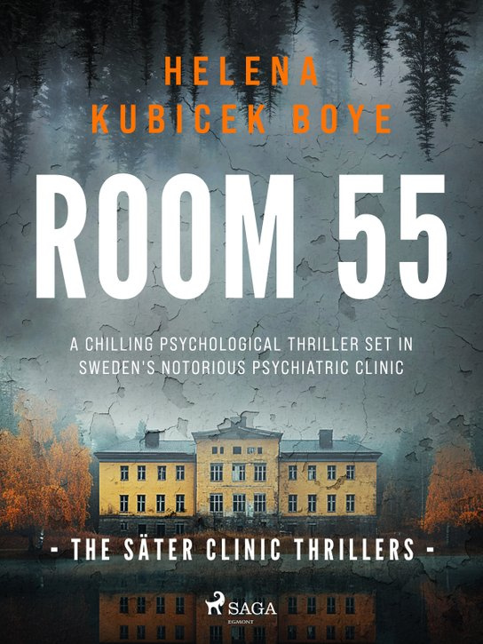 Room 55 -  Helena Kubicek-Boye