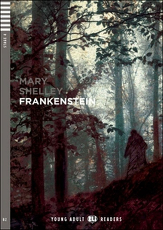 Frankenstein (B2 (Stage 4)) - Mery Shelley, Elizabeth Ferretti - kniha z kategorie Horory