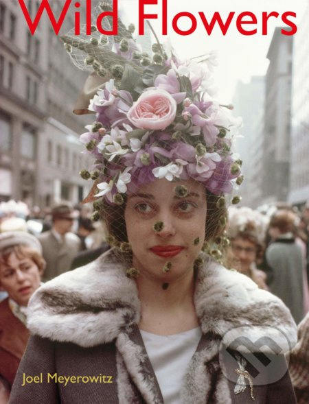 Joel Meyerowitz: Wild Flowers - Joel Meyerowitz, Maggie Barrett - kniha z kategorie Fotografie