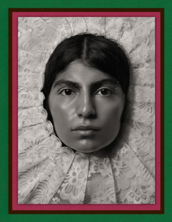 Damiani Pieter Henket: Birds of Mexico City