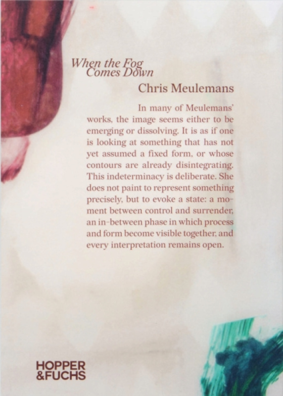 Hopper & Fuchs When the Fog Comes Down - Meulemans, Chris a Leemans, Koen