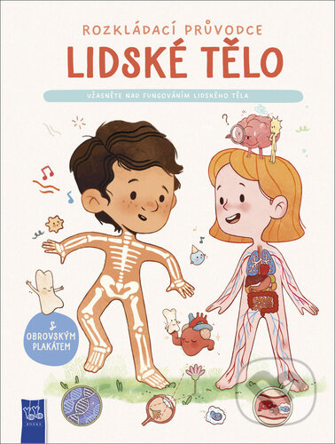 Lidské tělo - Užasněte nad fungováním lidského těla