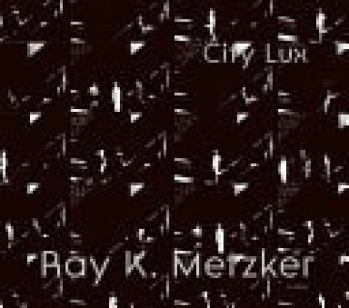 Ray K. Metzker: City Lux Ludion
