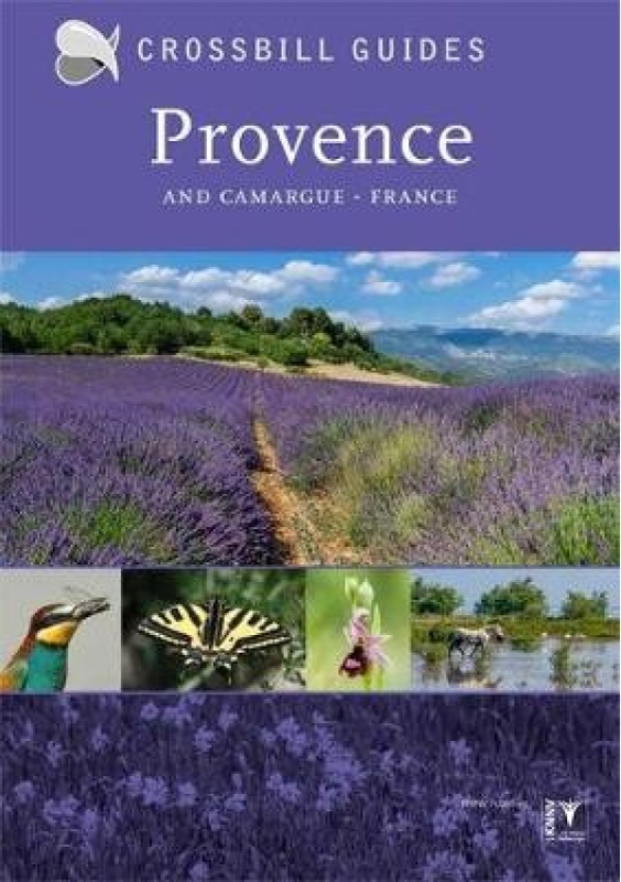 Provence, And Camargue, France Crossbill Guides Foundation