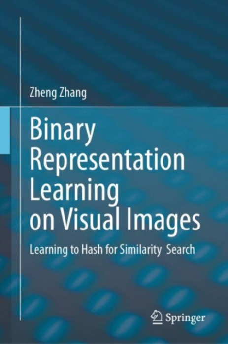 Springer Verlag, Singapore Binary Representation Learning on Visual Images - Zhang, Zheng