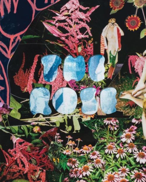 Lumber Room Rose: A Circular Genealogy of Collage