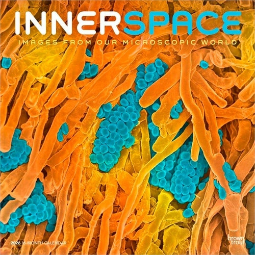 Microscopic World of Innerspace 2026 Square Flap Calendar BrownTrout