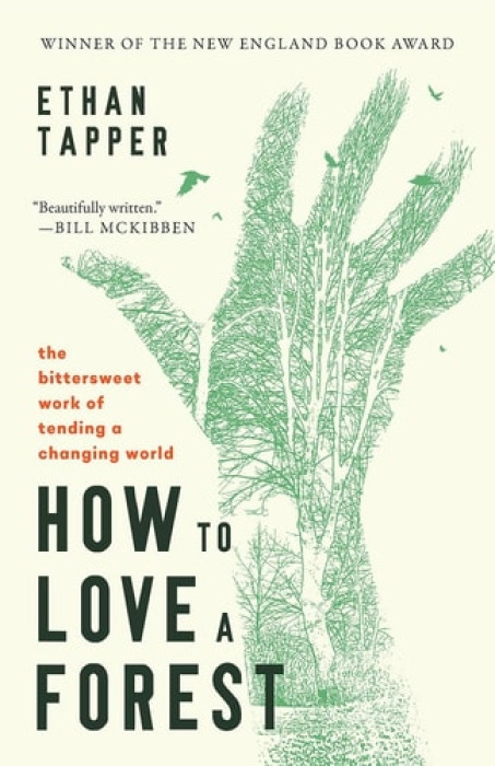 Augsburg Fortress Publishers How to Love a Forest - Tapper, Ethan