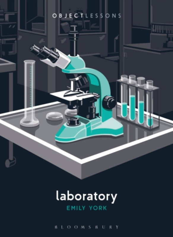 Bloomsbury Publishing PLC Laboratory - York, Dr. or Prof. Emily (James Madison University, USA)