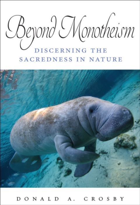 State University of New York Press Beyond Monotheism - Crosby, Donald A. (Colorado State University)