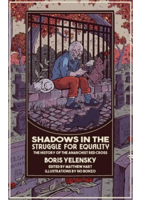 Shadows in the Struggle for Equality PM Press