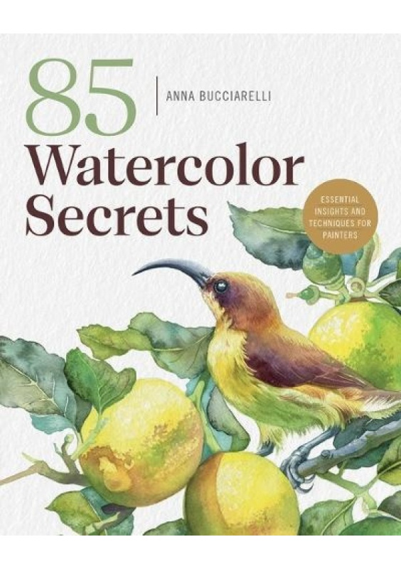 101 Watercolor Secrets, Essential Insights and Techniques for Painters Rocky Nook