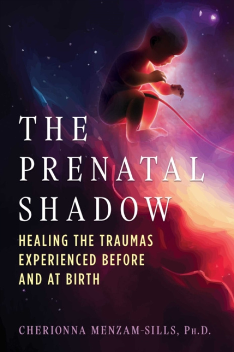 Inner Traditions Bear and Company Prenatal Shadow - Menzam-Sills, Cherionna
