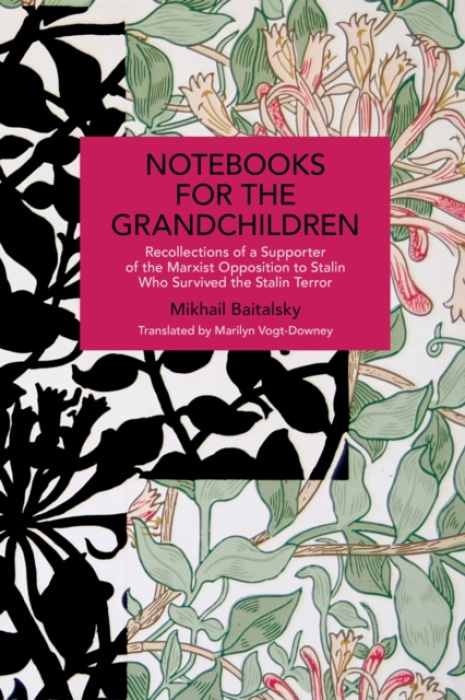 Haymarket Books Notebooks for the Grandchildren - Baitalsky, Mikhail
