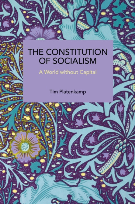Haymarket Books Constitution of Socialism - Platenkamp, Tim