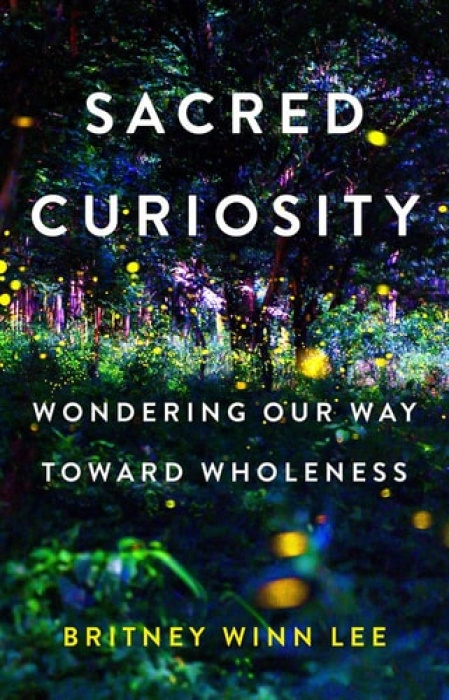 Augsburg Fortress Publishers Sacred Curiosity - Lee, Britney Winn