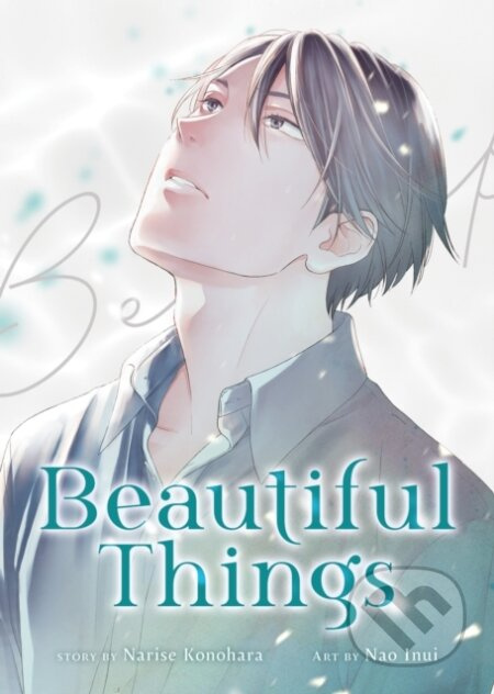 Beautiful Things: The Complete Manga Collection - Narise Konohara, Nao Inui (ilustrátor) - kniha z kategorie Komiksy