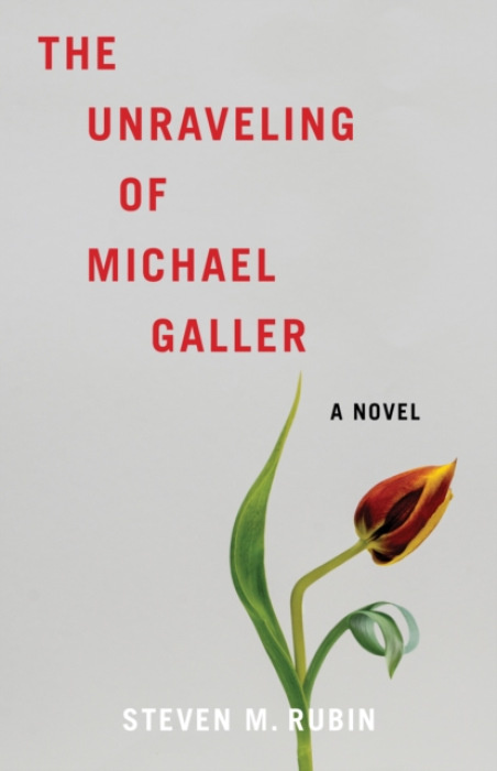She Writes Press Unraveling of Michael Galler - Rubin, Steven M.