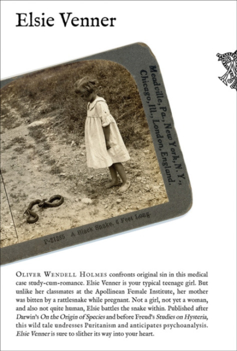 Mandylion Press Elsie Venner - Wendell, Holmes, Oliver