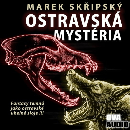 Ostravská mystéria -  Marek Skřipský