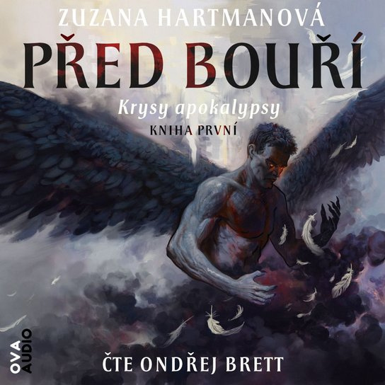 Před bouří -  Zuzana Hartmanová