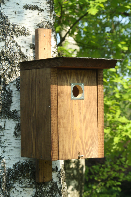 Sestav si ptačí budku