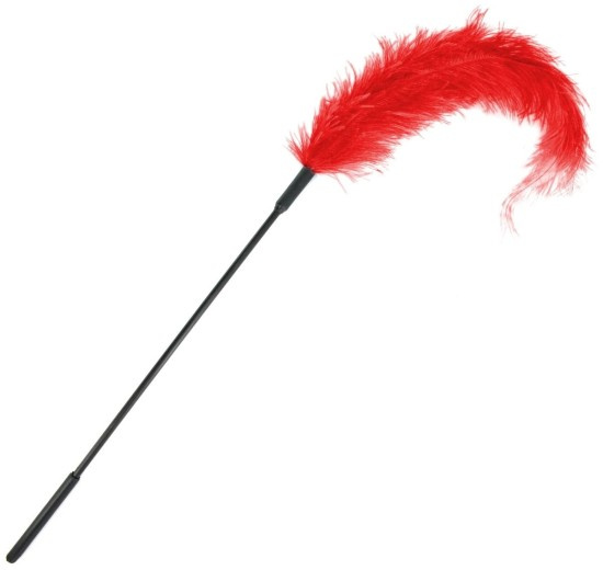Sportsheets Extra Long Feather Tickler